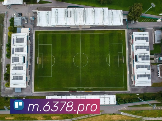未来规划
